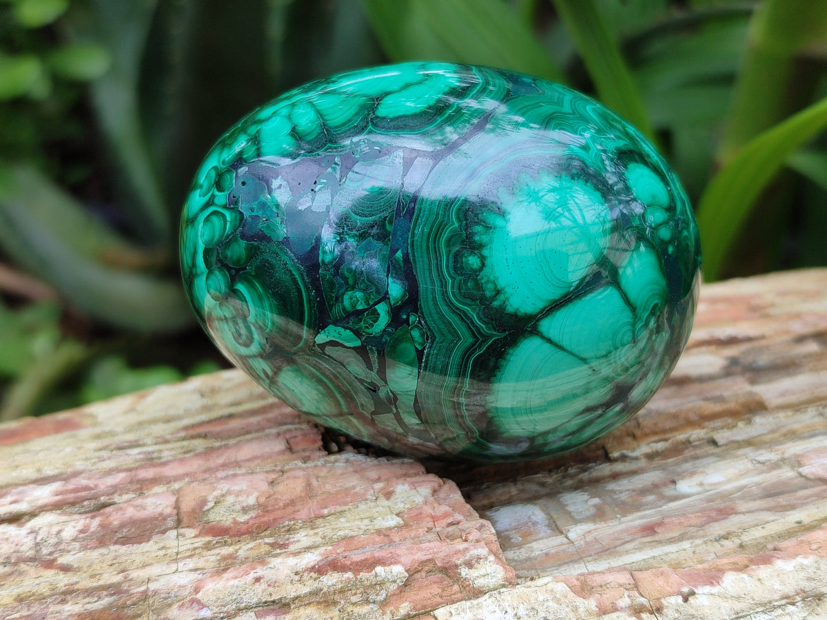 Polished Classic Large Solid Flower Banded Malachite Gemstone Eggs - Sold Per Item - From Congo - Toprock Gemstones and Minerals 