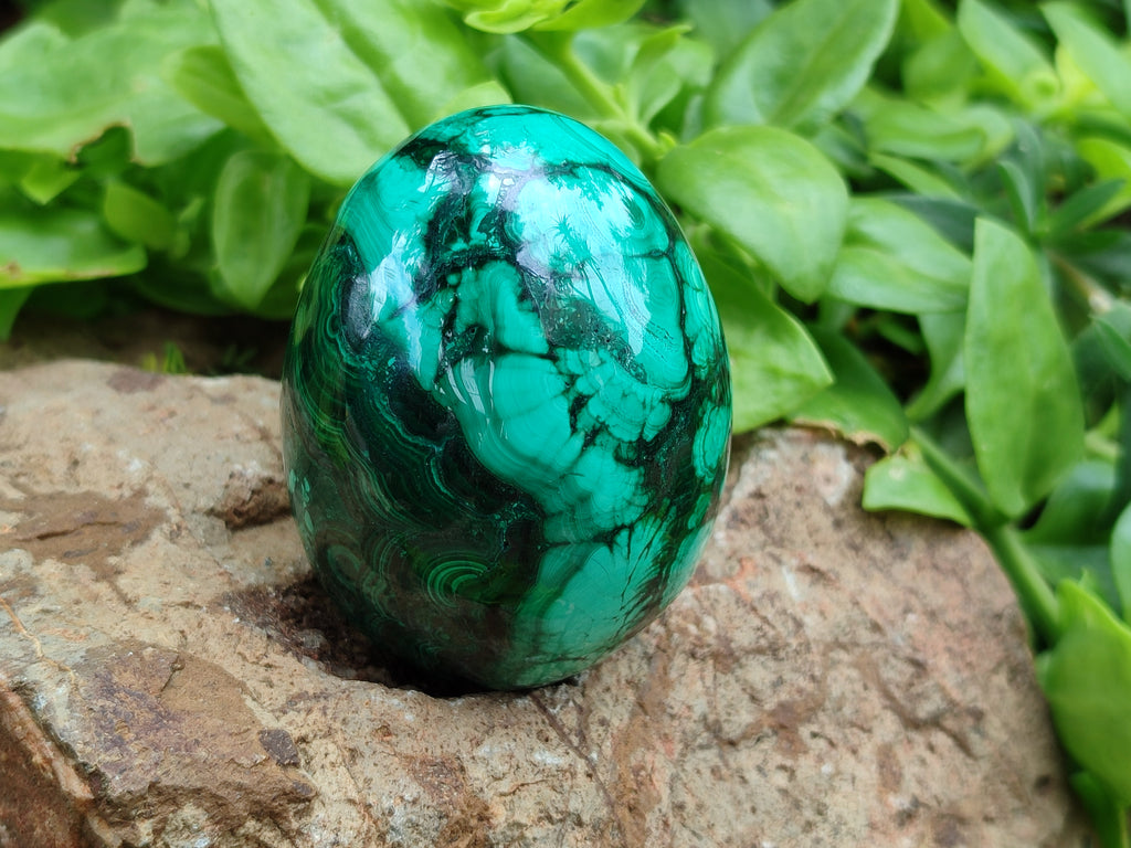 Polished Classic Large Solid Flower Banded Malachite Gemstone Eggs - Sold Per Item - From Congo - Toprock Gemstones and Minerals 