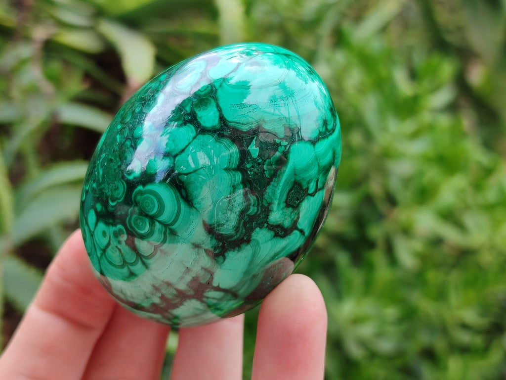 Polished Classic Large Solid Flower Banded Malachite Gemstone Eggs - Sold Per Item - From Congo - Toprock Gemstones and Minerals 