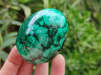 Polished Classic Large Solid Flower Banded Malachite Gemstone Eggs - Sold Per Item - From Congo - Toprock Gemstones and Minerals 
