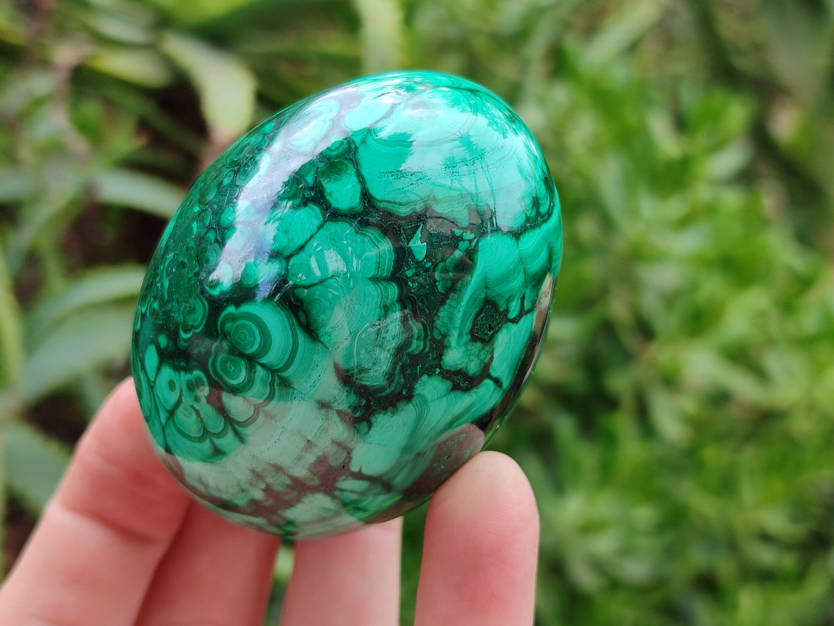 Polished Classic Large Solid Flower Banded Malachite Gemstone Eggs - Sold Per Item - From Congo - Toprock Gemstones and Minerals 