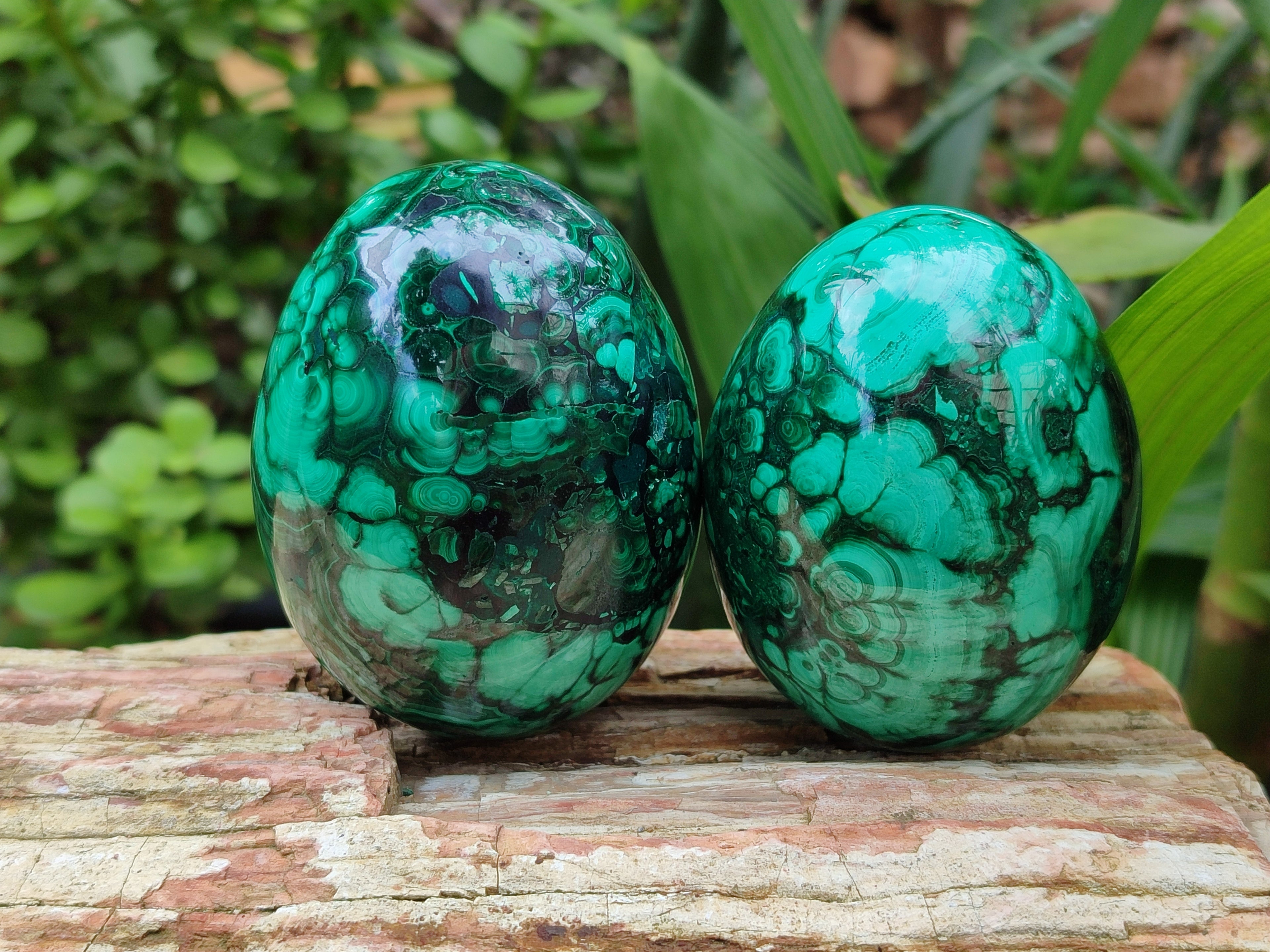 Polished Classic Large Solid Flower Banded Malachite Gemstone Eggs - Sold Per Item - From Congo - Toprock Gemstones and Minerals 