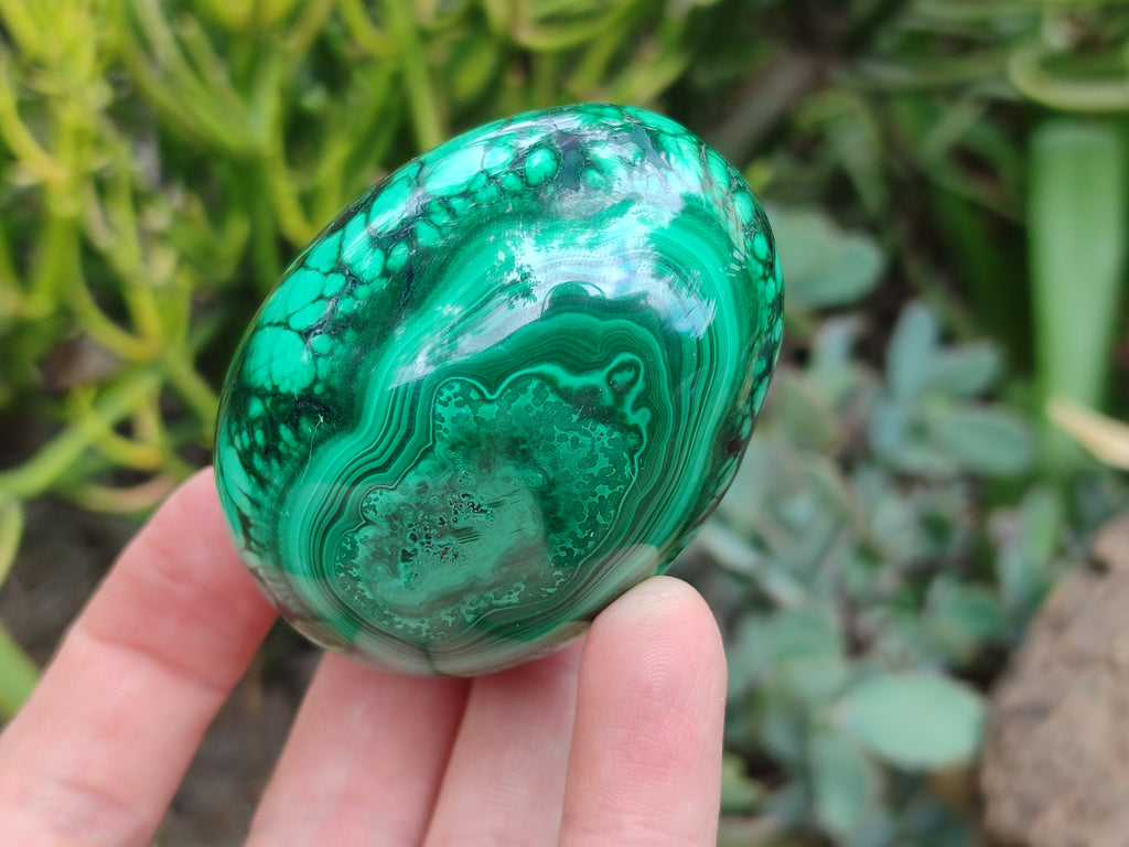 Polished Classic Large Solid Flower Banded Malachite Gemstone Eggs - Sold Per Item - From Congo - Toprock Gemstones and Minerals 