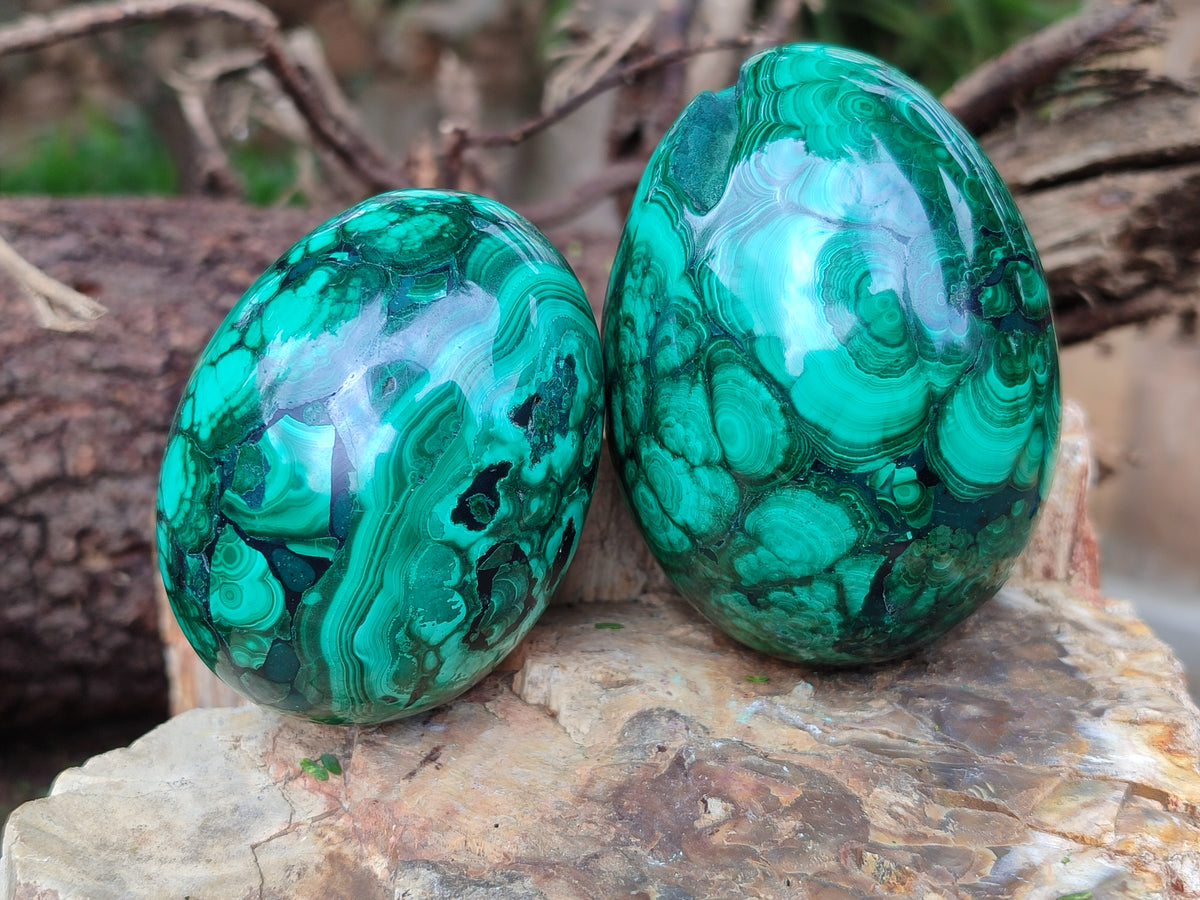 Polished Classic Large Solid Flower Banded Malachite Gemstone Eggs - Sold Per Item - From Congo - Toprock Gemstones and Minerals 