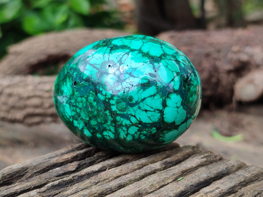 Polished Classic Large Solid Flower Banded Malachite Gemstone Eggs - Sold Per Item - From Congo - Toprock Gemstones and Minerals 