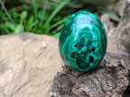 Polished Classic Large Solid Flower Banded Malachite Gemstone Eggs - Sold Per Item - From Congo - Toprock Gemstones and Minerals 