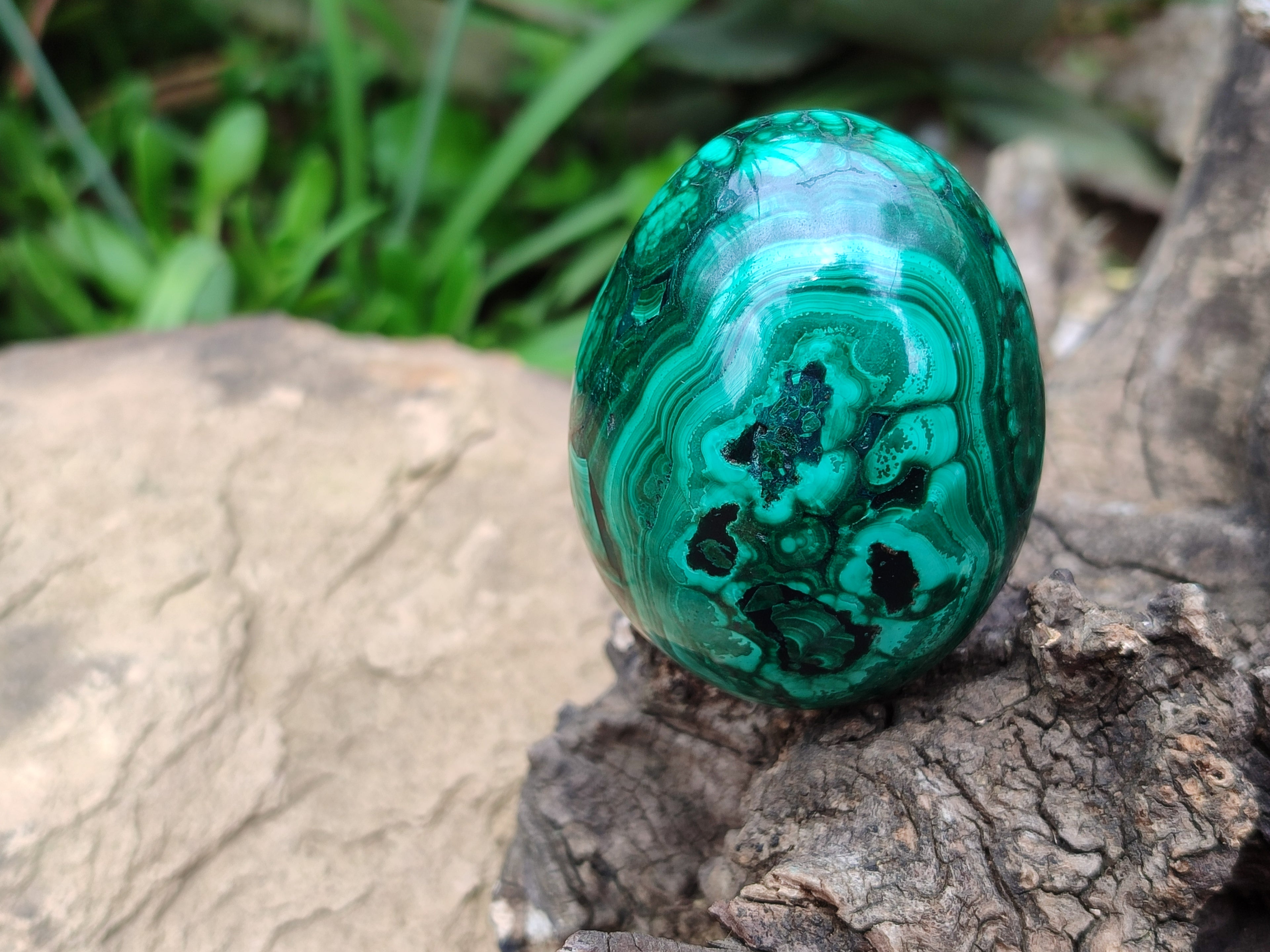Polished Classic Large Solid Flower Banded Malachite Gemstone Eggs - Sold Per Item - From Congo - Toprock Gemstones and Minerals 