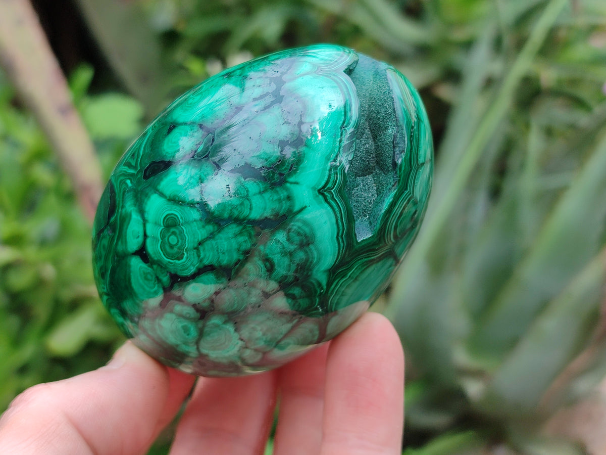 Polished Classic Large Solid Flower Banded Malachite Gemstone Eggs - Sold Per Item - From Congo - Toprock Gemstones and Minerals 