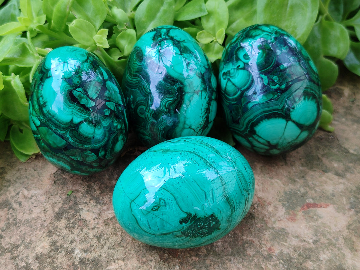 Polished Classic Large Solid Flower Banded Malachite Gemstone Eggs - Sold Per Item - From Congo - Toprock Gemstones and Minerals 
