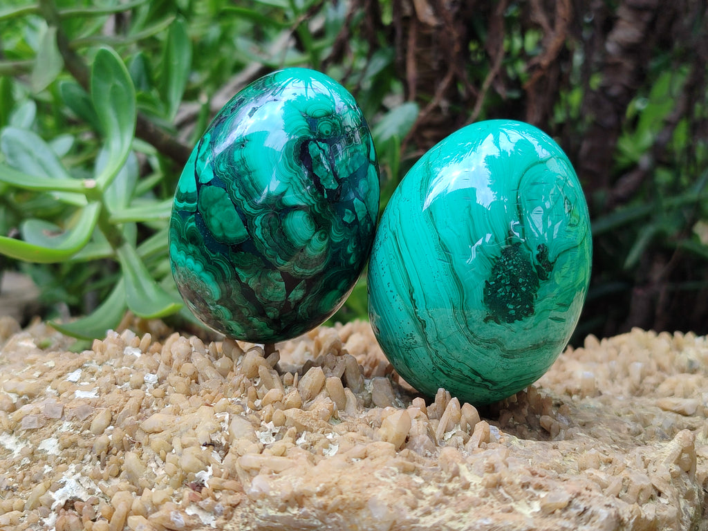 Polished Classic Large Solid Flower Banded Malachite Gemstone Eggs - Sold Per Item - From Congo - Toprock Gemstones and Minerals 