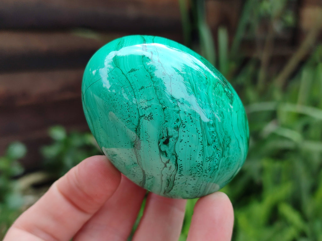 Polished Classic Large Solid Flower Banded Malachite Gemstone Eggs - Sold Per Item - From Congo - Toprock Gemstones and Minerals 