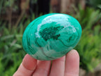 Polished Classic Large Solid Flower Banded Malachite Gemstone Eggs - Sold Per Item - From Congo - Toprock Gemstones and Minerals 