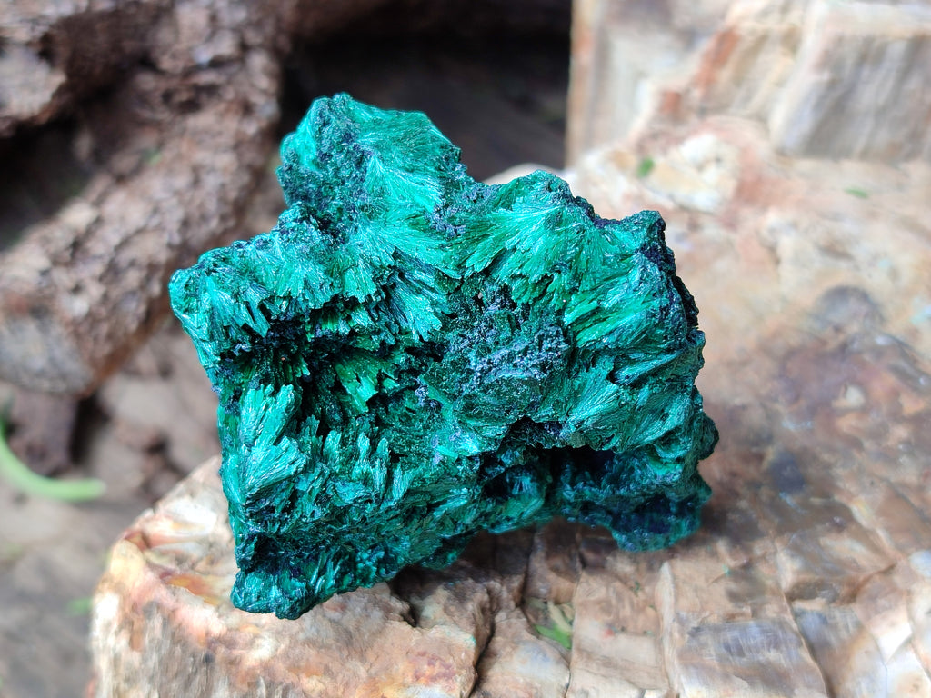Natural Silky Malachite Specimens x 6 From Kasompe, Congo - Toprock Gemstones and Minerals 