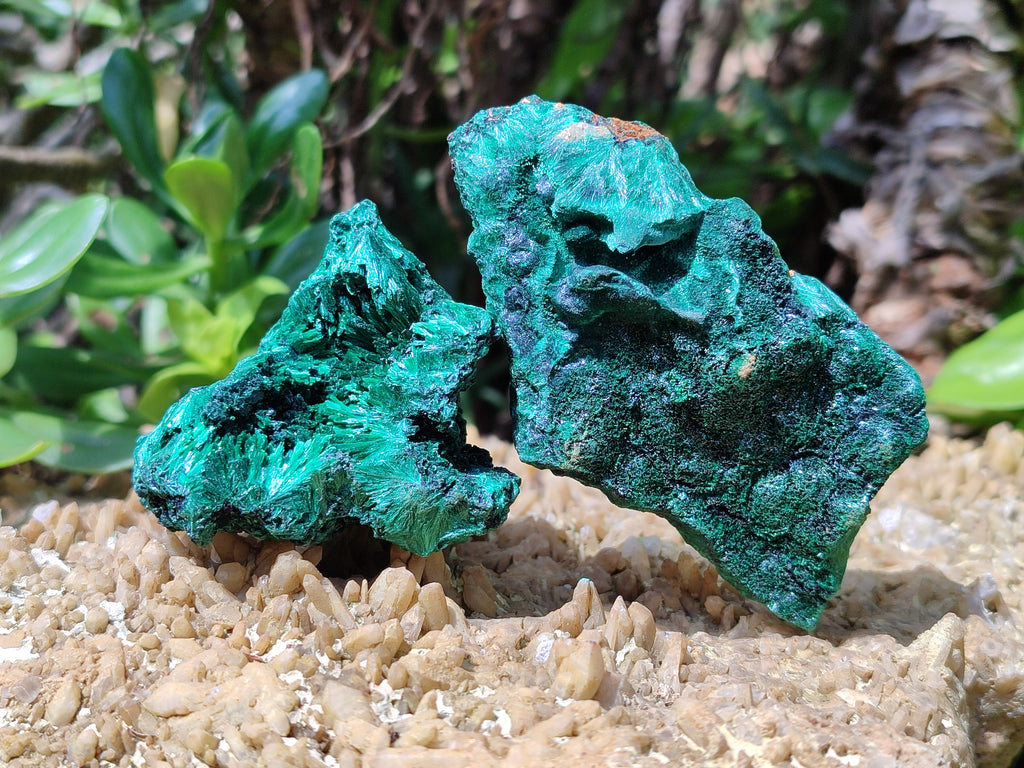 Natural Silky Malachite Specimens x 6 From Kasompe, Congo - Toprock Gemstones and Minerals 
