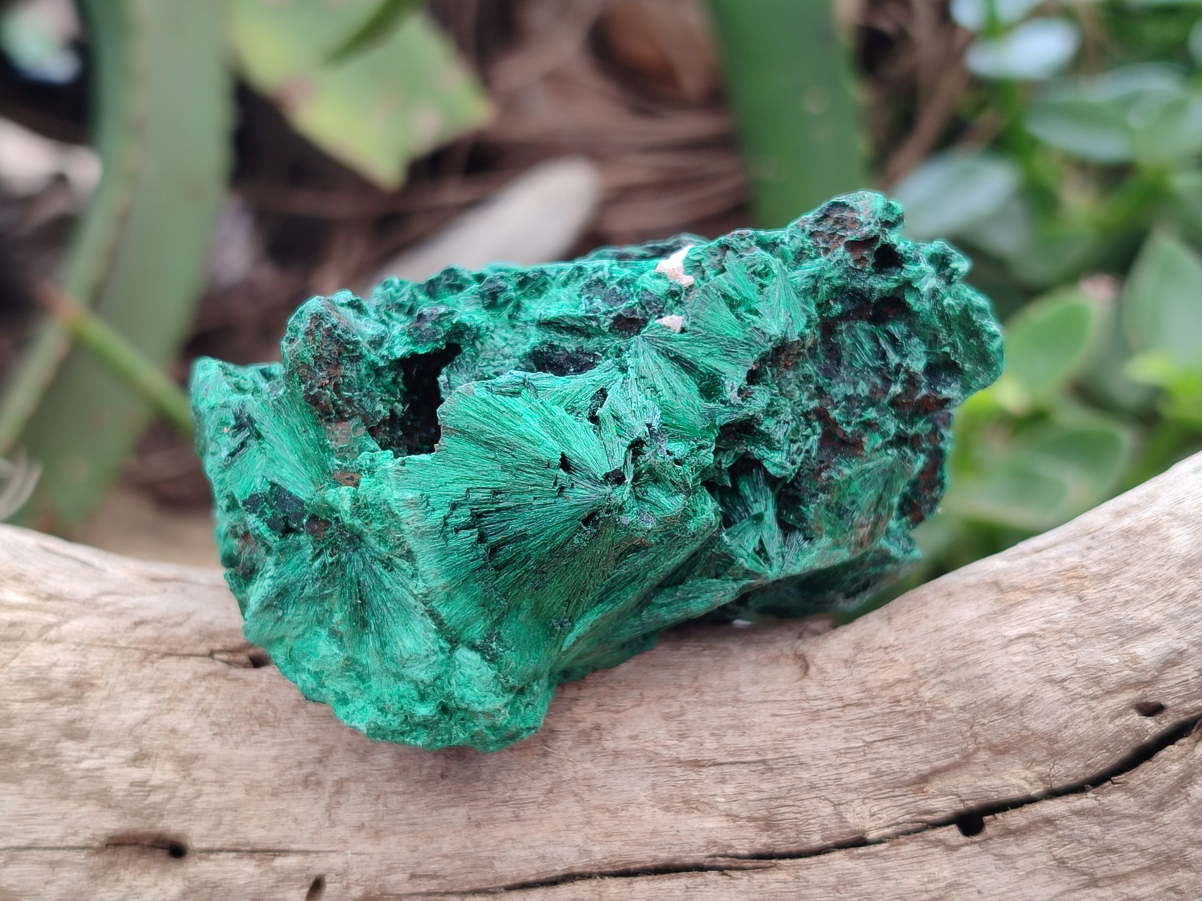 Natural Silky Malachite Specimens x 6 From Kasompe, Congo - Toprock Gemstones and Minerals 