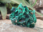 Natural Silky Malachite Specimens x 6 From Kasompe, Congo - Toprock Gemstones and Minerals 