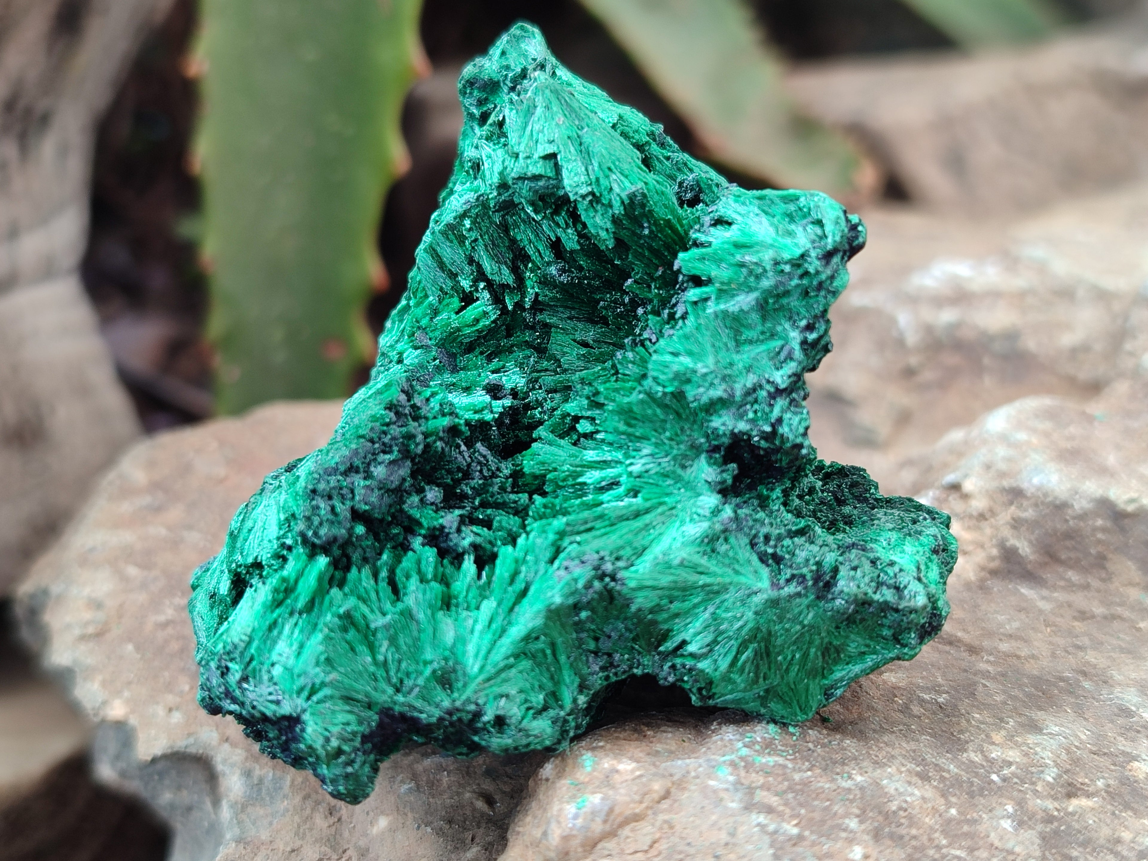 Natural Silky Malachite Specimens x 6 From Kasompe, Congo - Toprock Gemstones and Minerals 