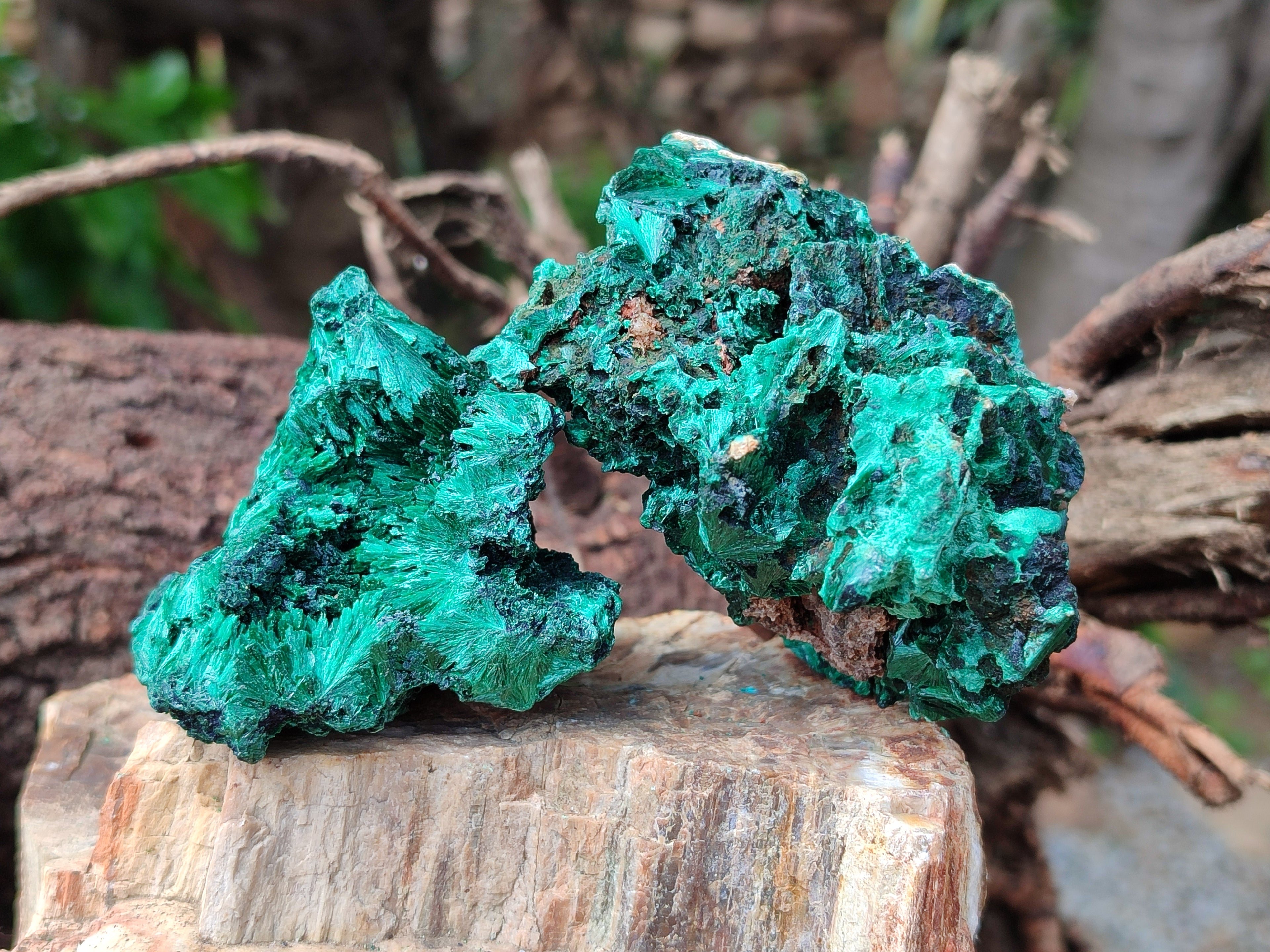 Natural Silky Malachite Specimens x 6 From Kasompe, Congo - Toprock Gemstones and Minerals 