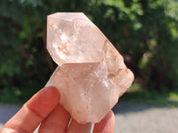 Natural Clear Quartz Crystals x 6 From Zambia - Toprock Gemstones and Minerals 