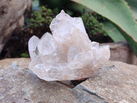Natural Clear Quartz Crystals x 6 From Zambia - Toprock Gemstones and Minerals 