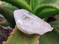 Natural Clear Quartz Crystals x 6 From Zambia - Toprock Gemstones and Minerals 
