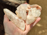 Natural Clear Quartz Crystals x 6 From Zambia - Toprock Gemstones and Minerals 