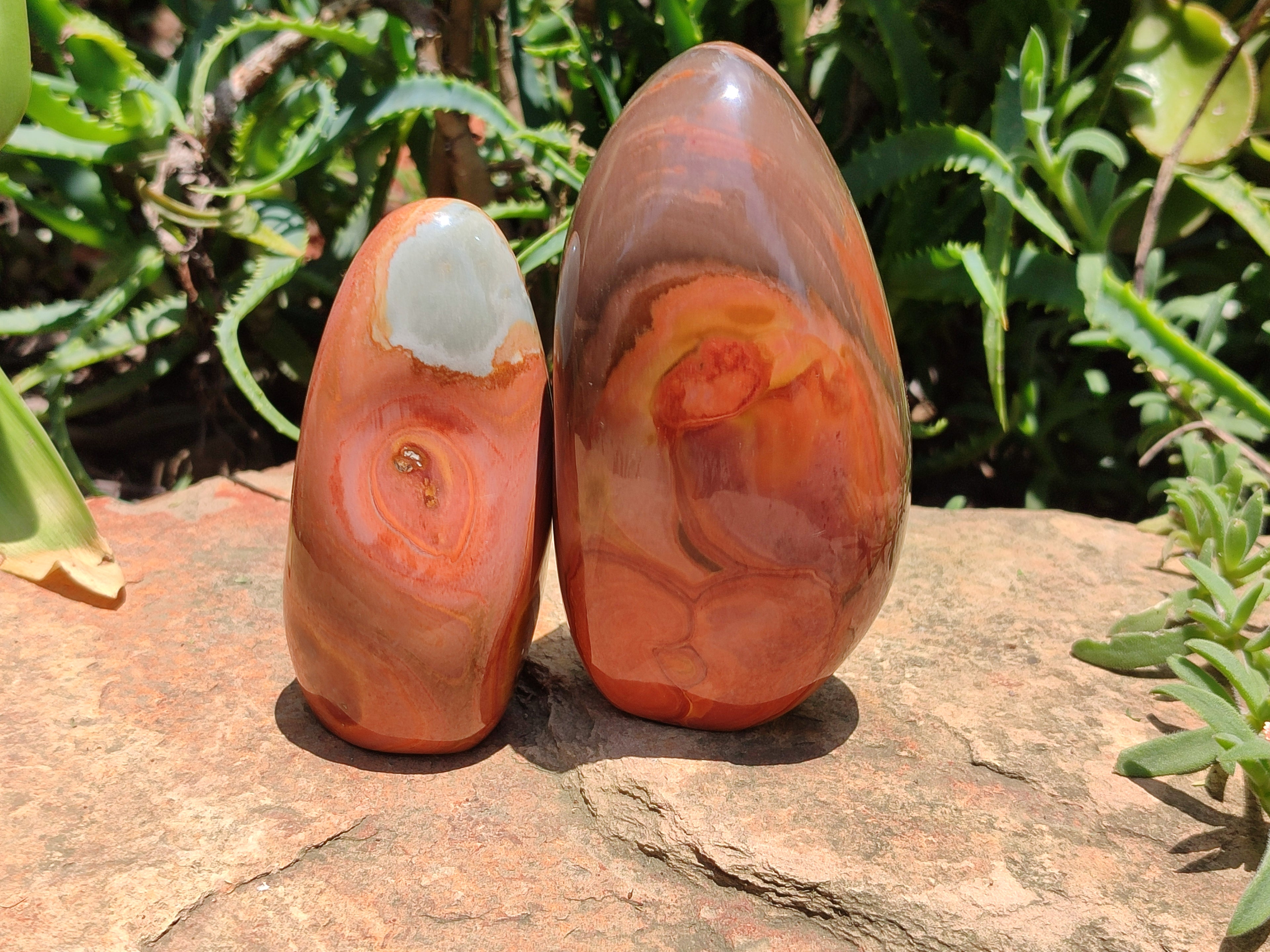 Polished Polychrome Jasper Standing Free Forms x 4 From Madagascar - Toprock Gemstones and Minerals 