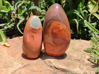 Polished Polychrome Jasper Standing Free Forms x 4 From Madagascar - Toprock Gemstones and Minerals 