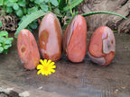 Polished Polychrome Jasper Standing Free Forms x 4 From Madagascar - Toprock Gemstones and Minerals 