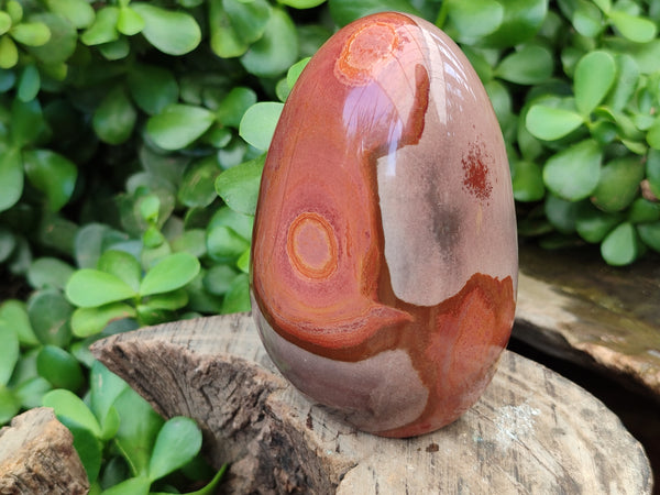 Polished Polychrome Jasper Standing Free Forms x 4 From Madagascar - Toprock Gemstones and Minerals 
