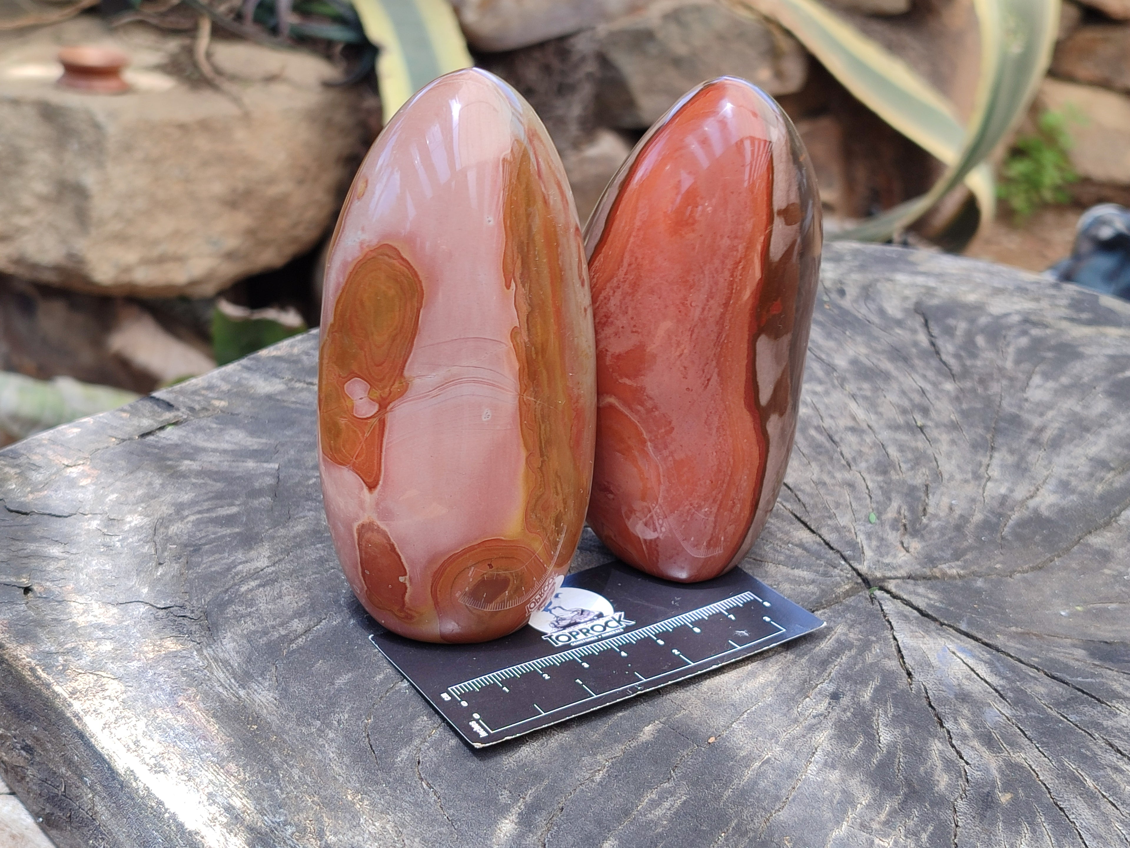Polished Polychrome Jasper Standing Free Forms x 4 From Madagascar - Toprock Gemstones and Minerals 