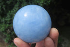 Polished Medium Blue Calcite Spheres - Sold per Item - From Madagascar - Toprock Gemstones and Minerals 