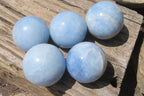Polished Medium Blue Calcite Spheres - Sold per Item - From Madagascar - Toprock Gemstones and Minerals 