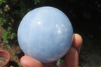 Polished Medium Blue Calcite Spheres - Sold per Item - From Madagascar - Toprock Gemstones and Minerals 