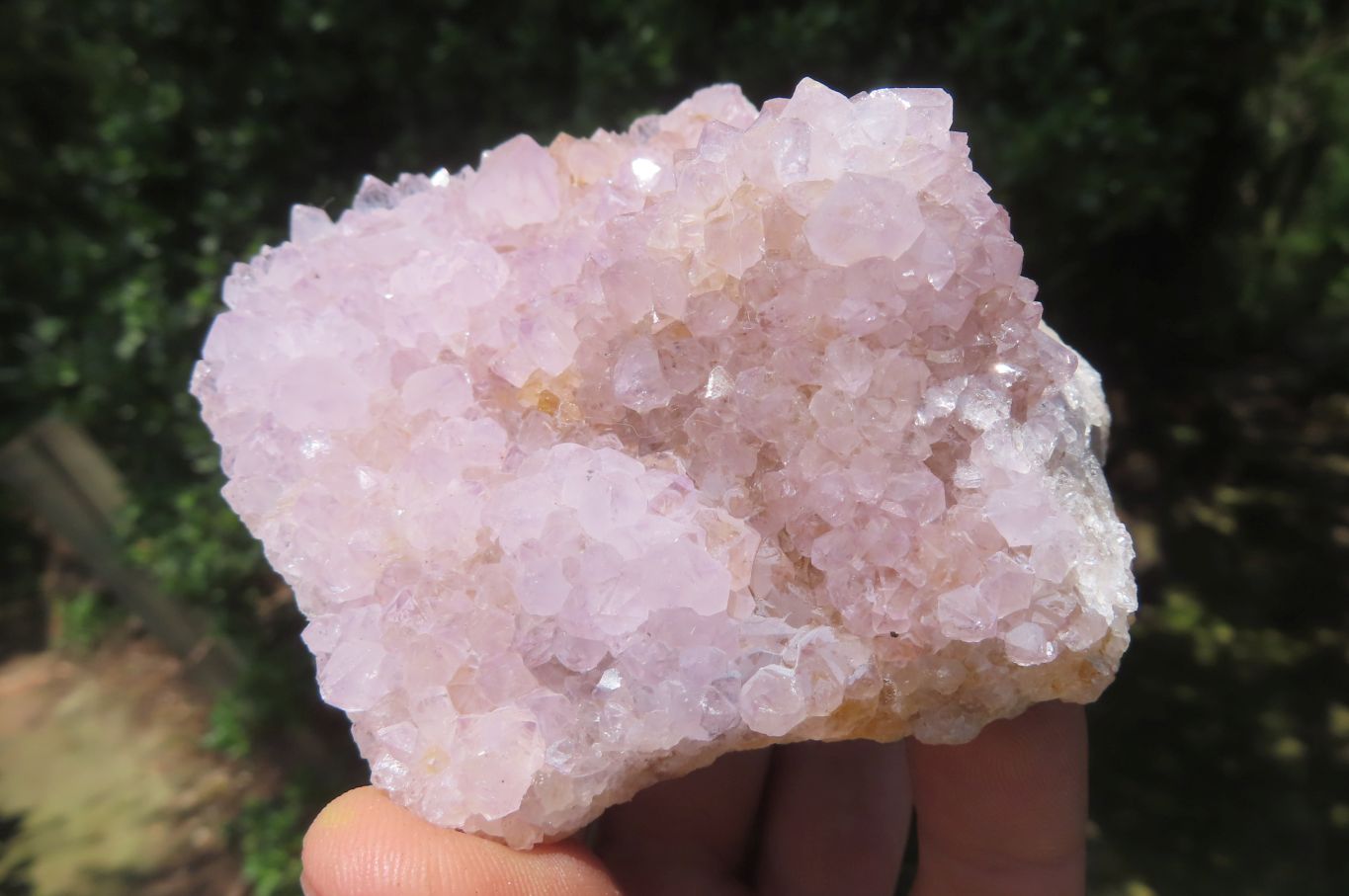 Natural Amethyst Spirit Quartz Clusters x 6 From Boekenhouthoek, South Africa - Toprock Gemstones and Minerals 