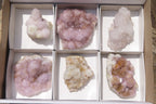 Natural Amethyst Spirit Quartz Clusters x 6 From Boekenhouthoek, South Africa - Toprock Gemstones and Minerals 