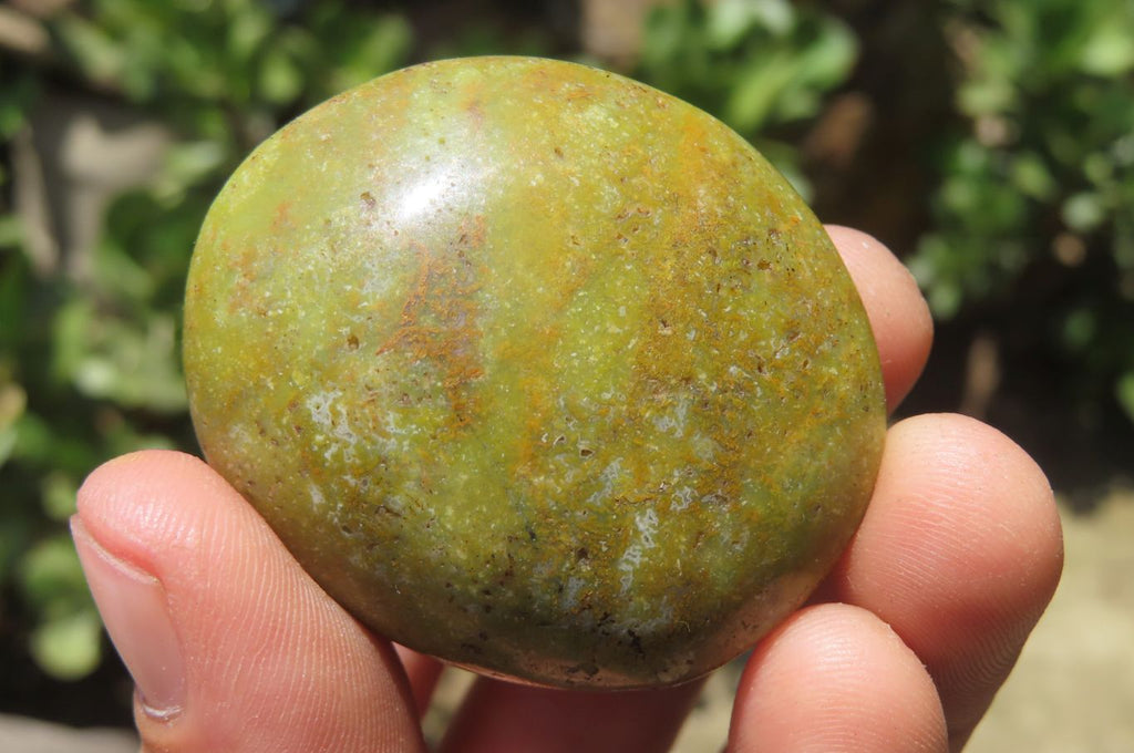 Polished Green Opal Palm Stones x 20 From Madagascar - Toprock Gemstones and Minerals 