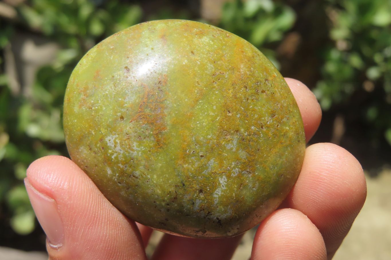 Polished Green Opal Palm Stones x 20 From Madagascar - Toprock Gemstones and Minerals 