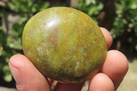 Polished Green Opal Palm Stones x 20 From Madagascar - Toprock Gemstones and Minerals 