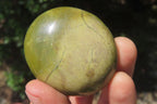 Polished Green Opal Palm Stones x 20 From Madagascar - Toprock Gemstones and Minerals 