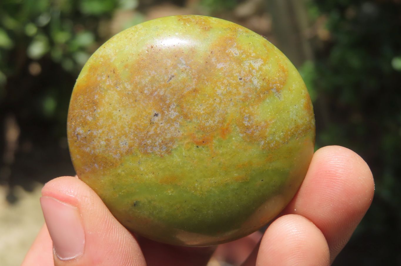 Polished Green Opal Palm Stones x 20 From Madagascar - Toprock Gemstones and Minerals 
