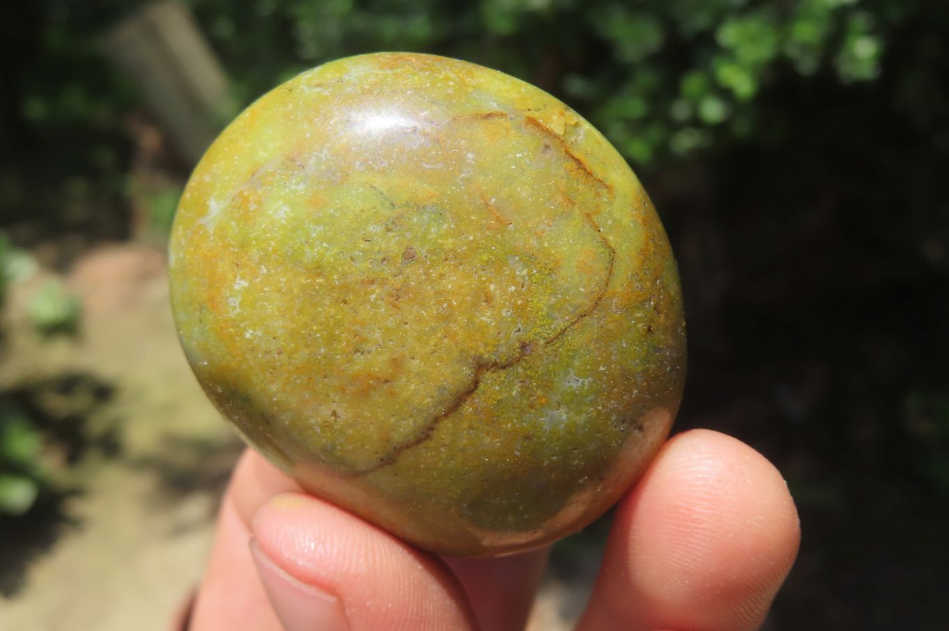 Polished Green Opal Palm Stones x 20 From Madagascar - Toprock Gemstones and Minerals 