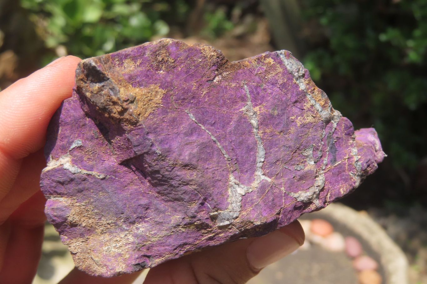 Natural Metallic Purpurite Cobbed Specimens x 6 From Erongo, Namibia - Toprock Gemstones and Minerals 