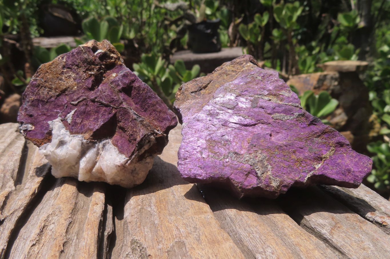Natural Metallic Purpurite Cobbed Specimens x 6 From Erongo, Namibia - Toprock Gemstones and Minerals 