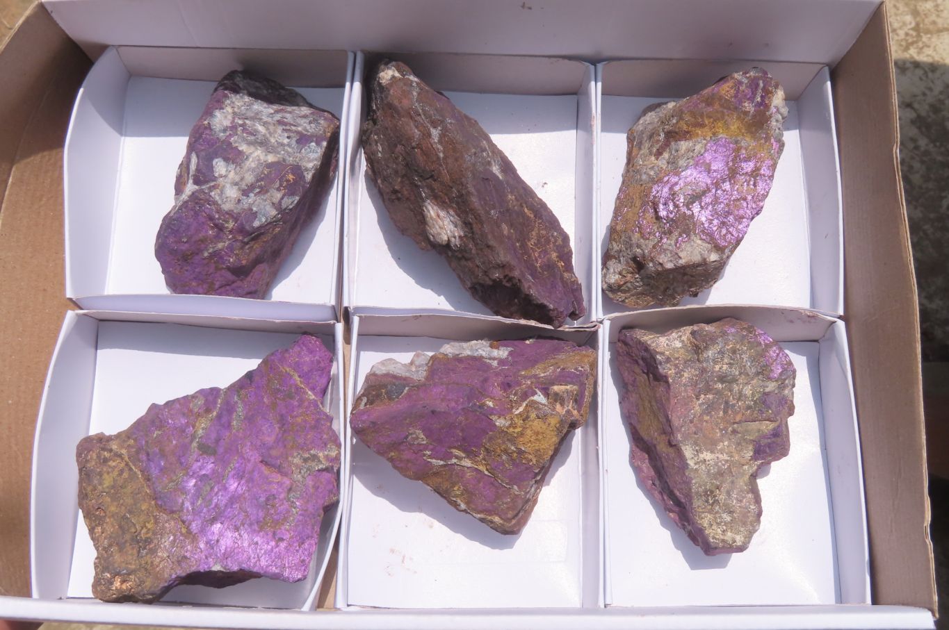 Natural Metallic Purpurite Cobbed Specimens x 6 From Erongo, Namibia - Toprock Gemstones and Minerals 