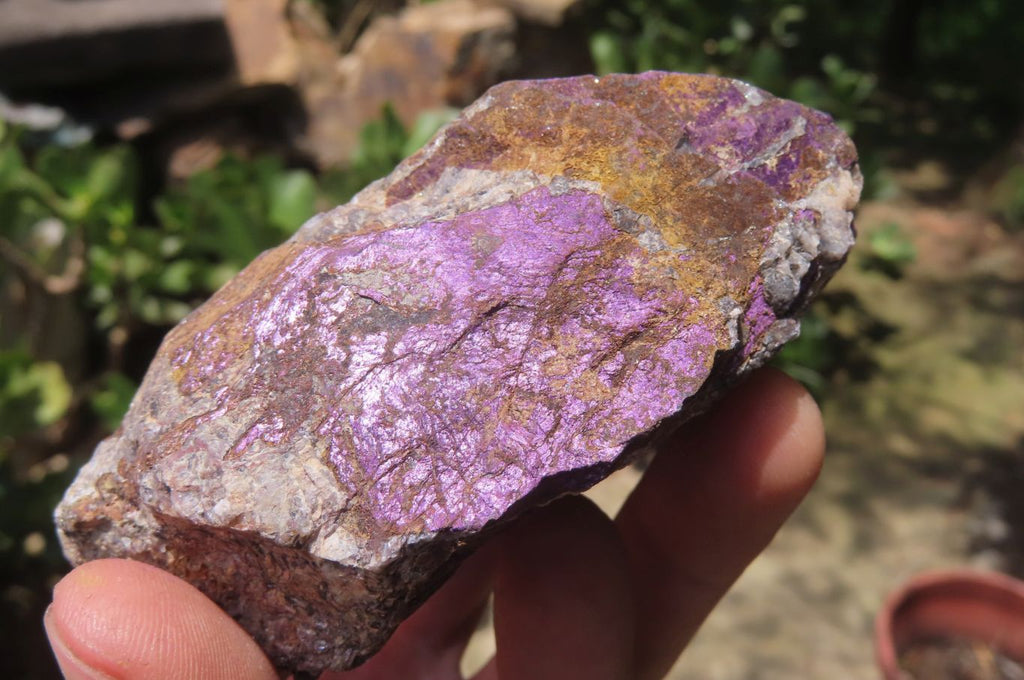 Natural Metallic Purpurite Cobbed Specimens x 6 From Erongo, Namibia - Toprock Gemstones and Minerals 