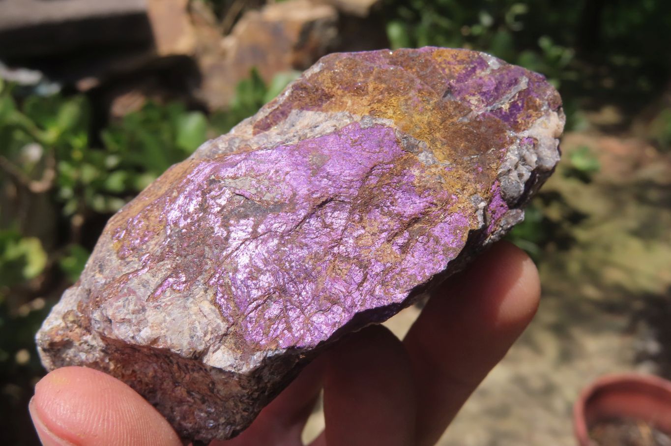 Natural Metallic Purpurite Cobbed Specimens x 6 From Erongo, Namibia - Toprock Gemstones and Minerals 