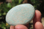 Polished Amazonite Free Forms x 24 From Zimbabwe - Toprock Gemstones and Minerals 