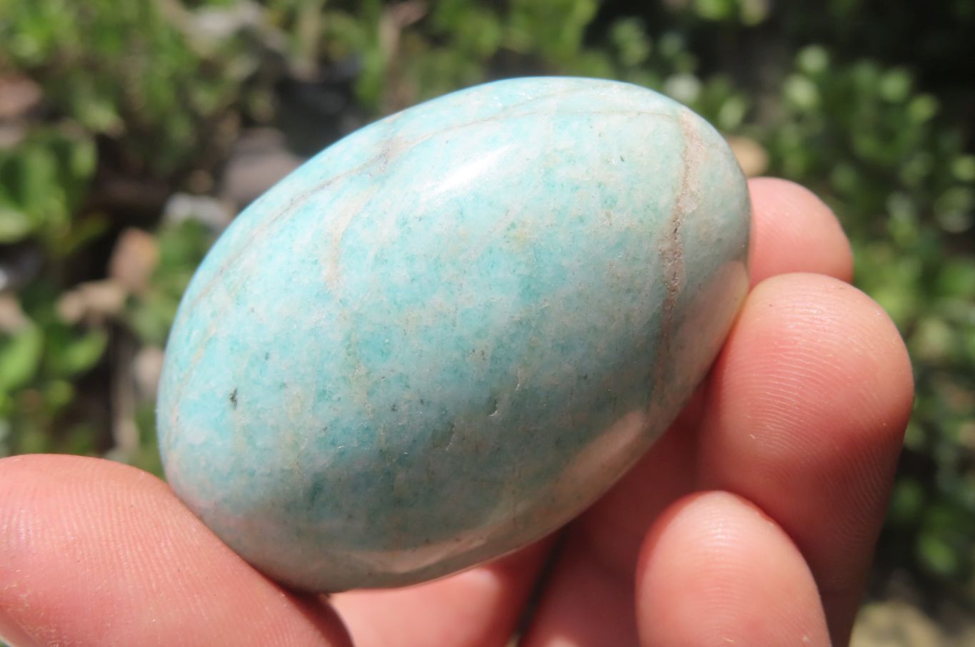 Polished Amazonite Free Forms x 24 From Zimbabwe - Toprock Gemstones and Minerals 