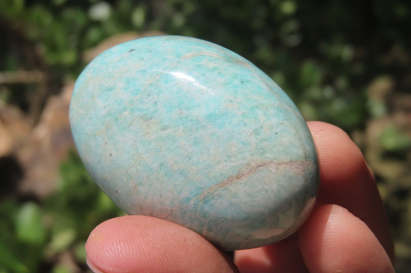 Polished Amazonite Free Forms x 24 From Zimbabwe - Toprock Gemstones and Minerals 